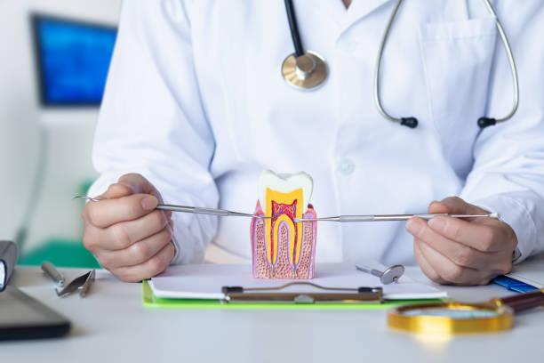Best Broken or Chipped Tooth Repair in Hartington, NE